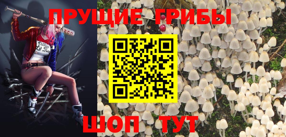 Старая Купавна  Псилоцибиновые грибы мухоморы  Вход с VPN 